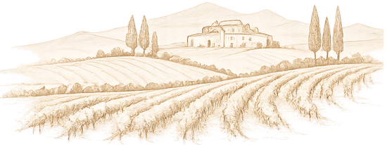 Vineyard-Discovery